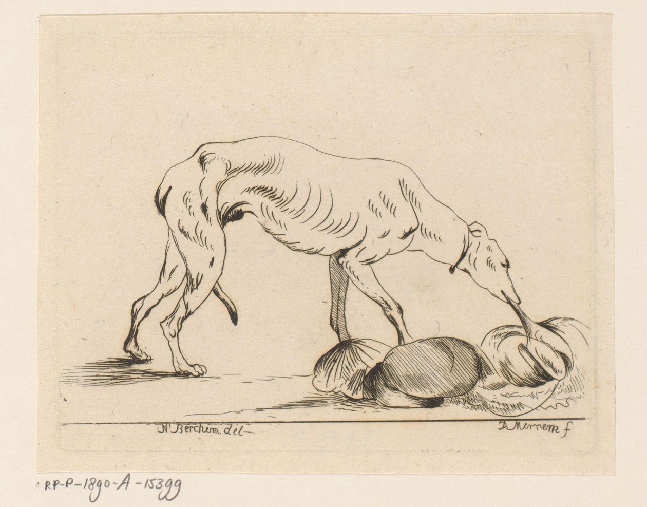 spise hund av D. Merrem