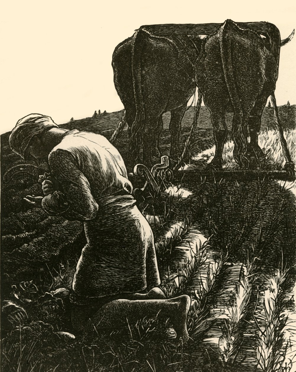 Den skjulte skatten, 1864, 1928. av Dalziel Brothers