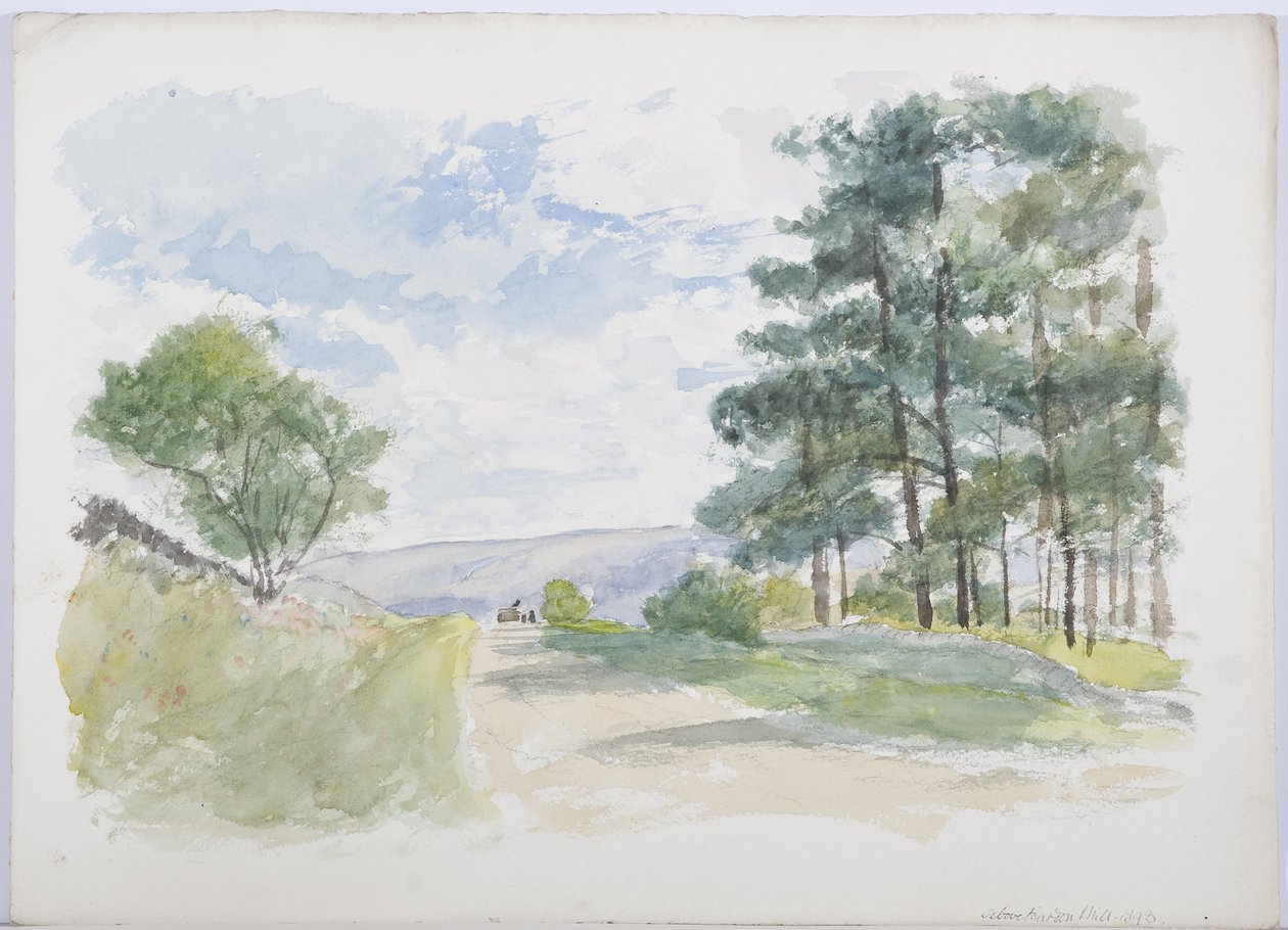 Above Bardon Mill, 1893 (blyant og wc på papir) av Daniel Oliver