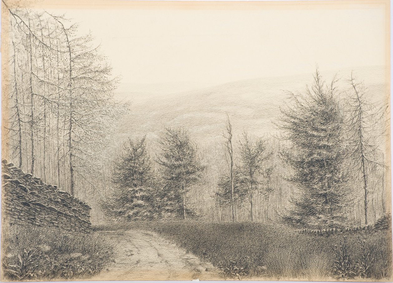 Egglestone Bridge, Teesdale, ca. 1916 (svart fargestift på kortet) av Daniel Oliver