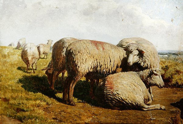 En gruppe sauer av Daniel Alexander Williamson