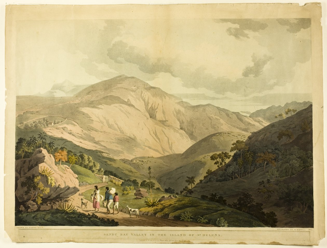 Sandy Bay Valley, St. Helena av Daniel Havell