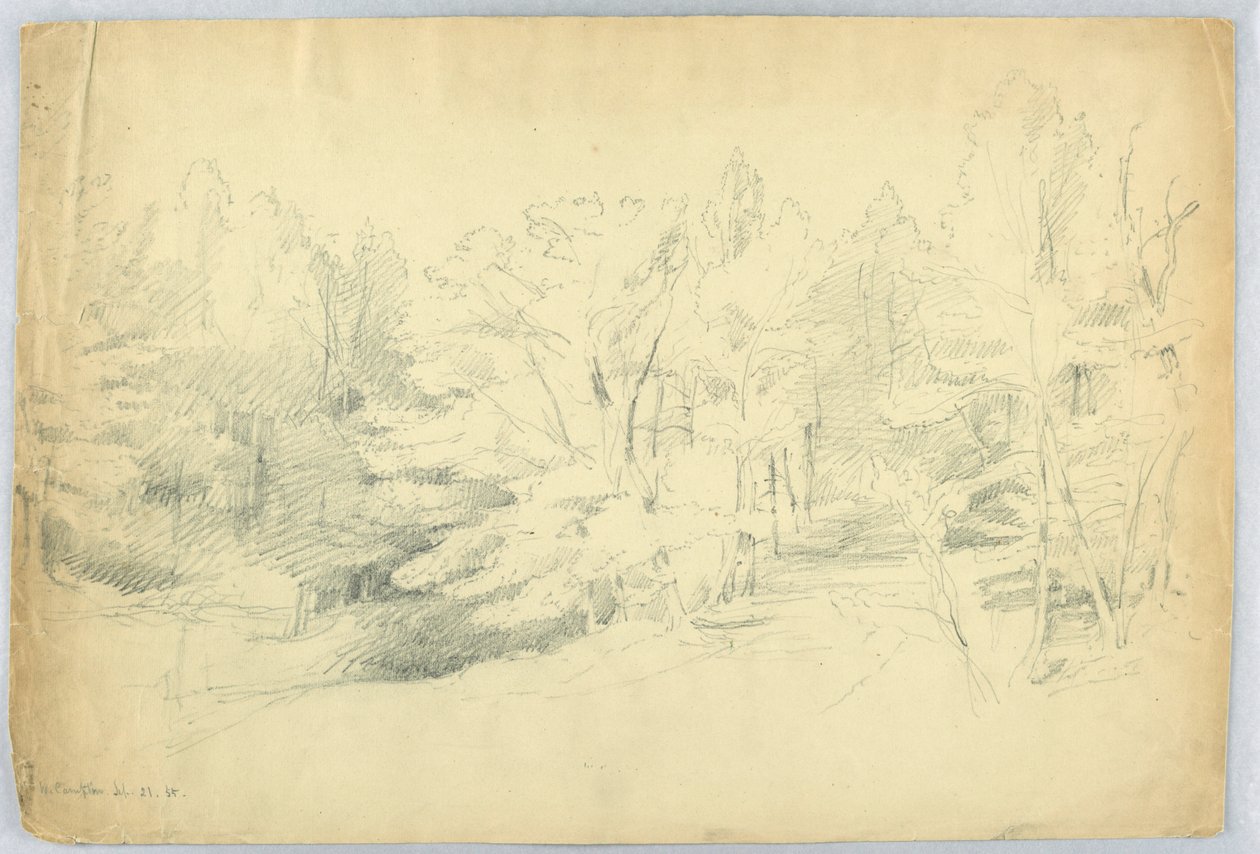 Skogbevokst scene - West Campton, New Hampshire av Daniel Huntington
