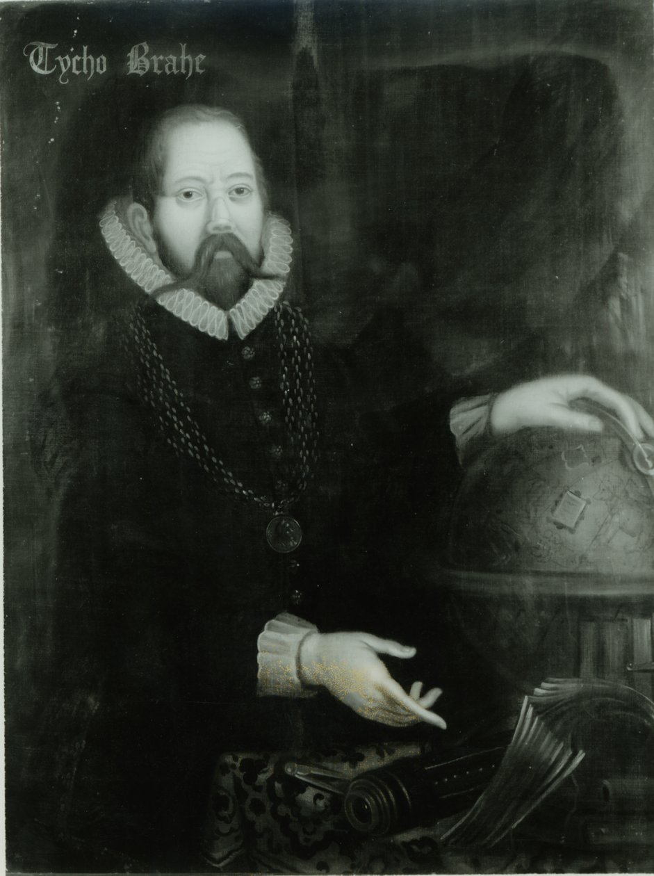 Tycho Brahe (1546–1601) av Danish School