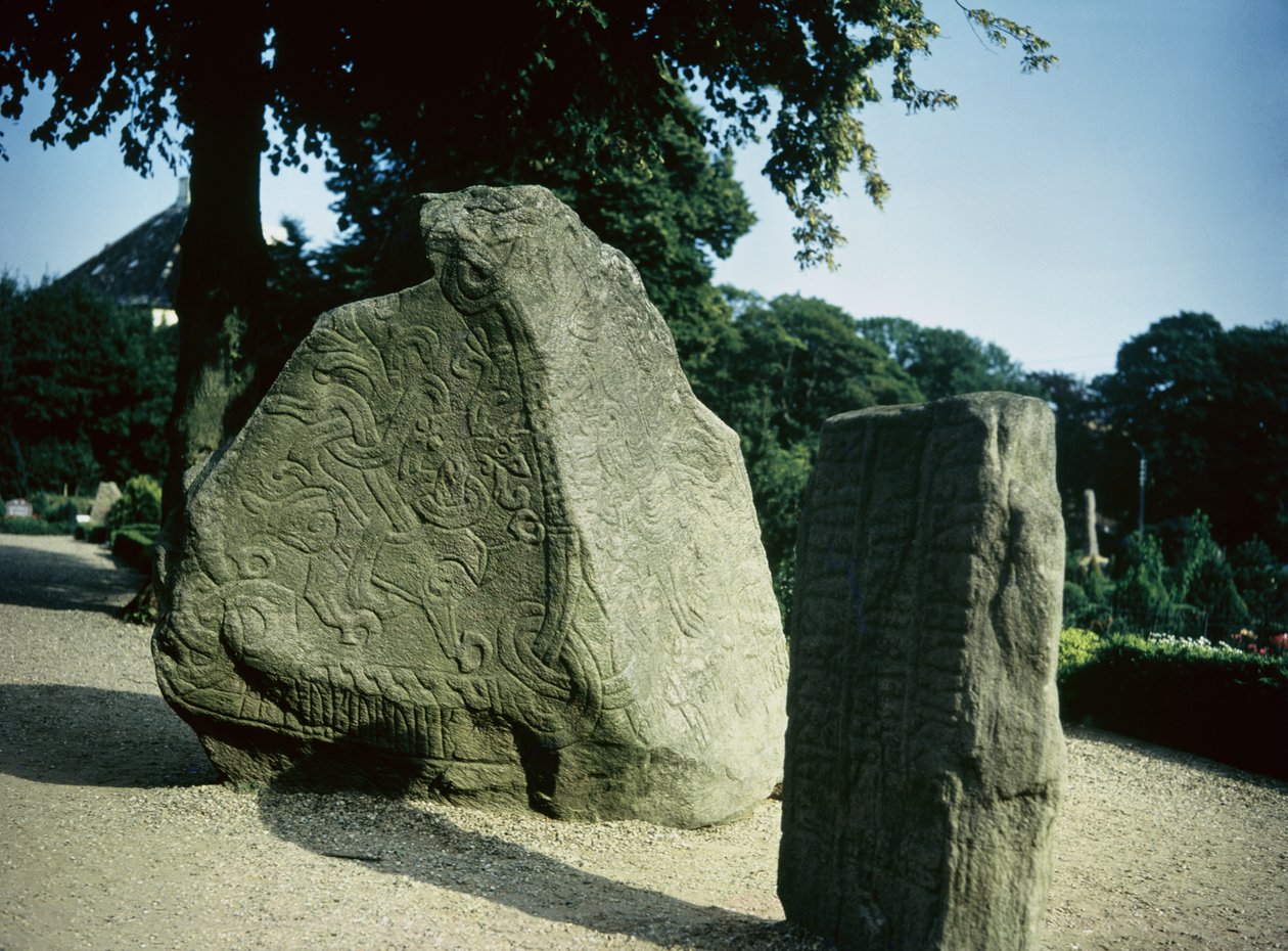 Viking runesteiner av Danish School