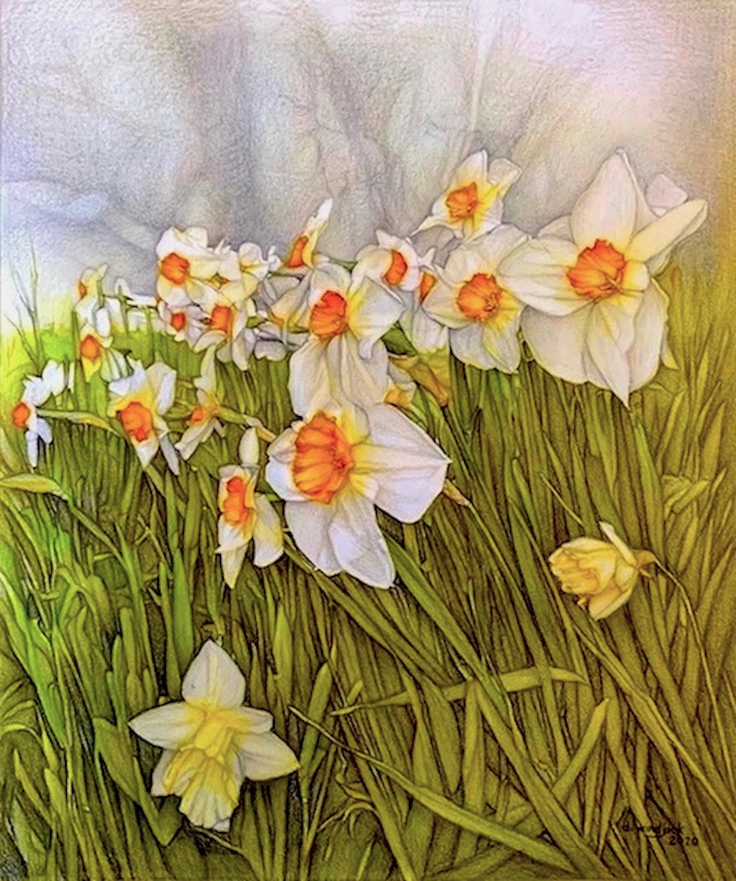  av Darrell Windjack