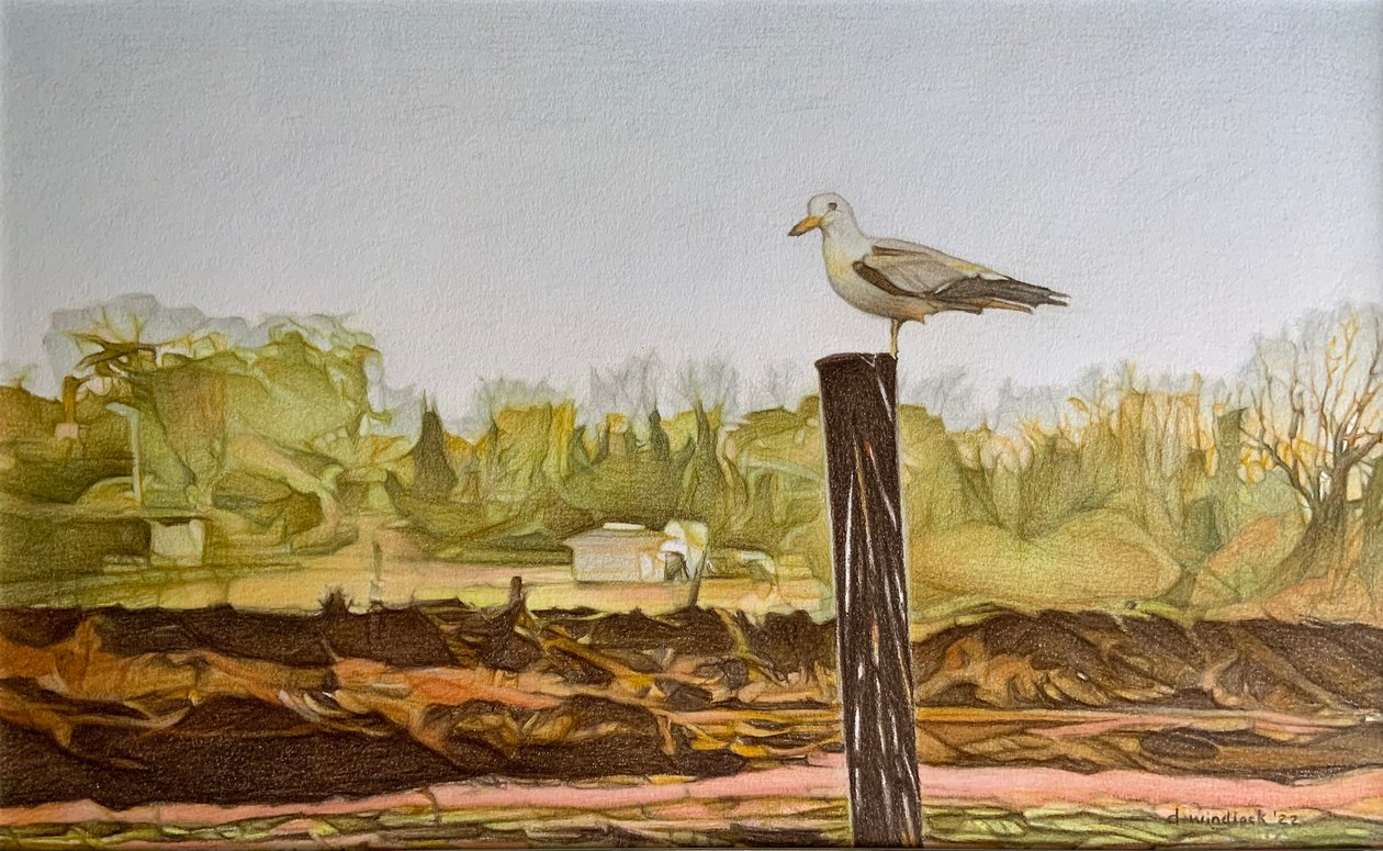  av Darrell Windjack