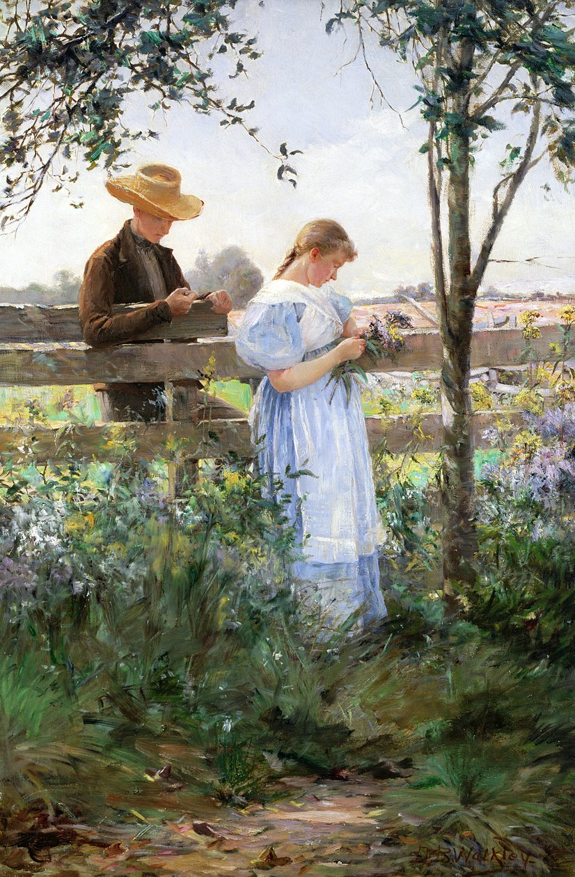 En countryromantikk av David B. Walkley