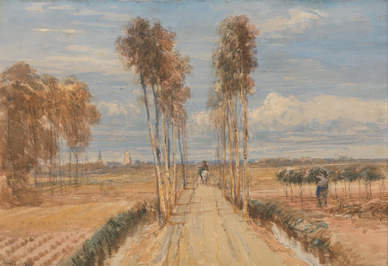The Poplar Avenue, etter Hobbema av David Cox