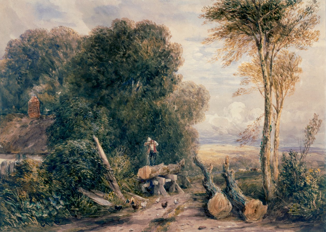 Saggropen av David Cox