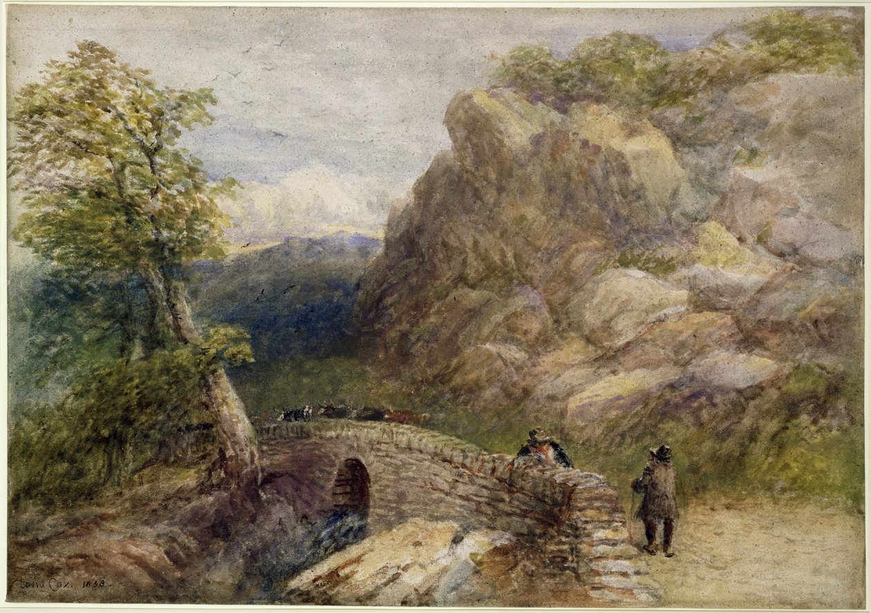Utsikt i Nord-Wales, 1858 av David Cox