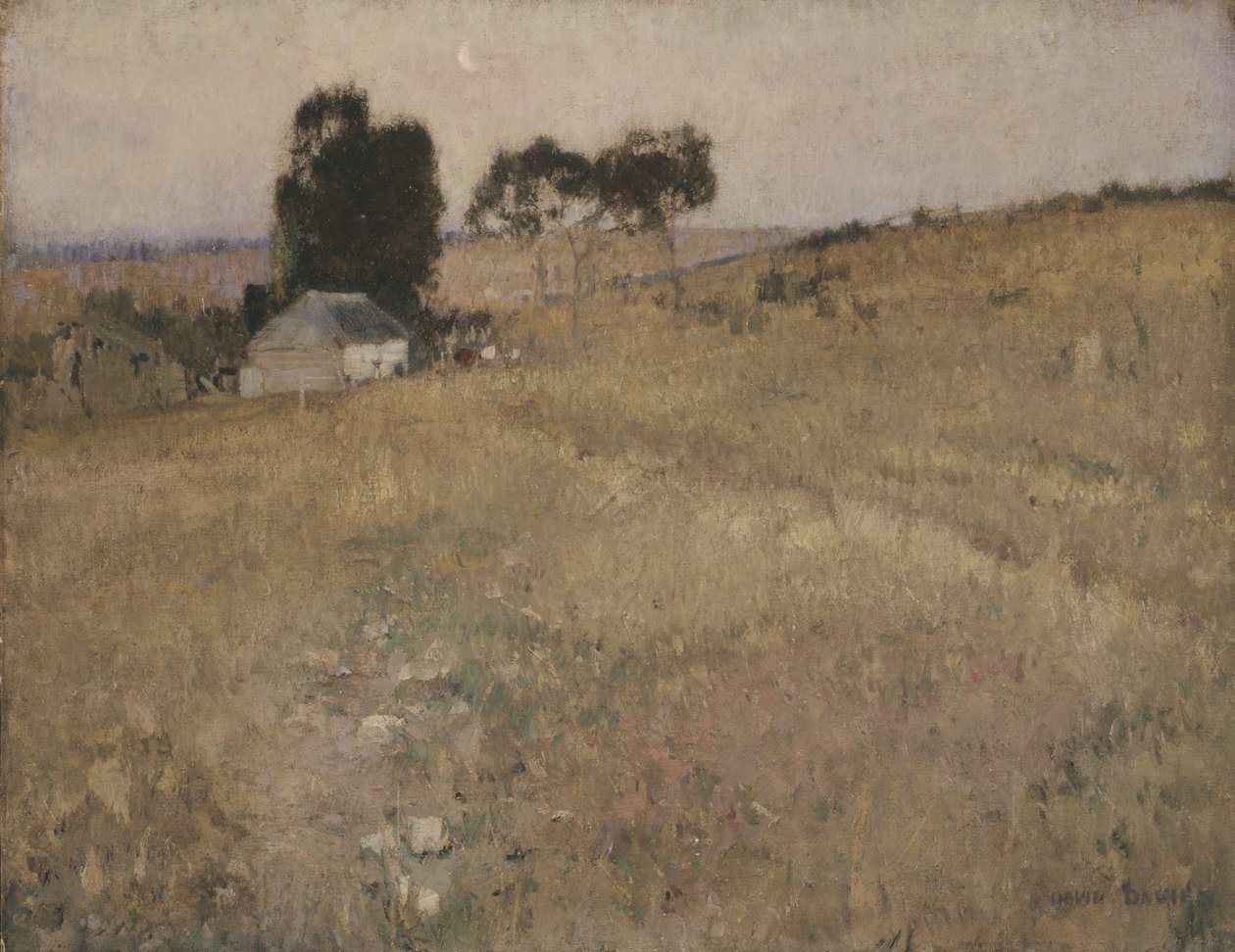 En sommerkveld av David Davies