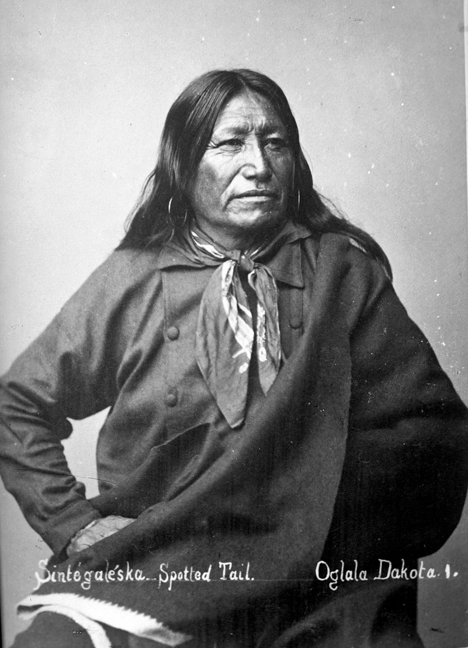Sintegaleska, Spotted Tail, Oglala Dakota I, 1880-årene av David Frances Barry