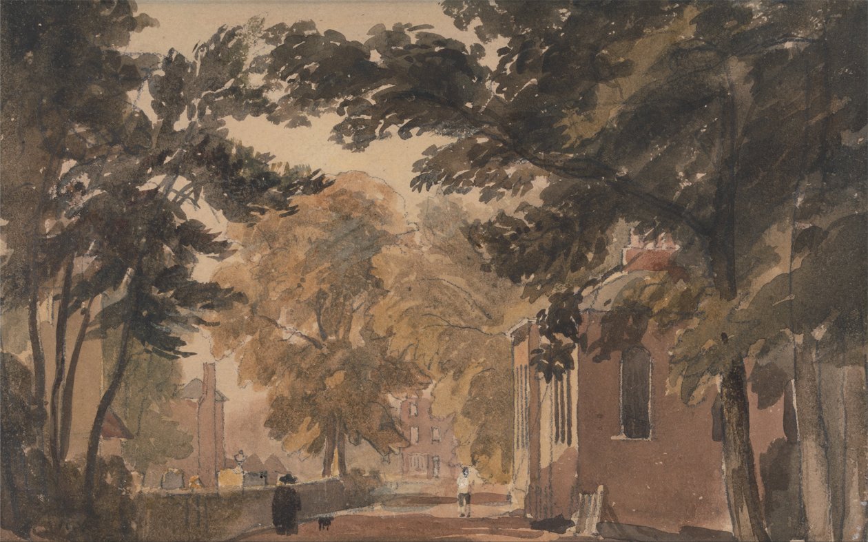  av David Cox