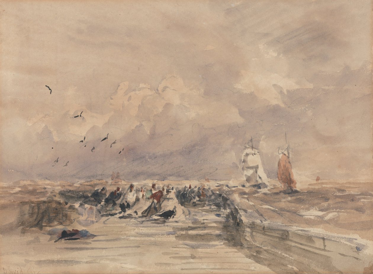  av David Cox
