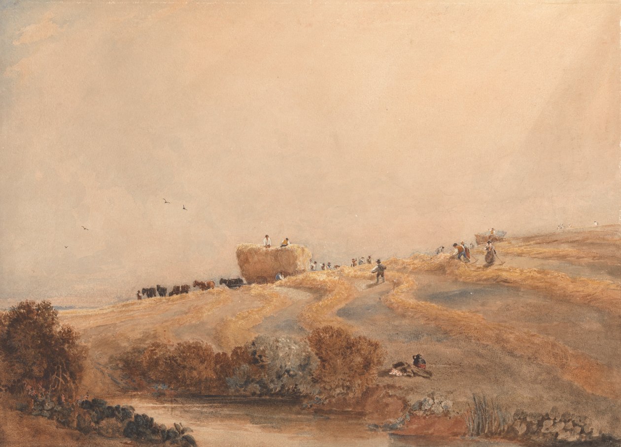 Høsting av David Cox