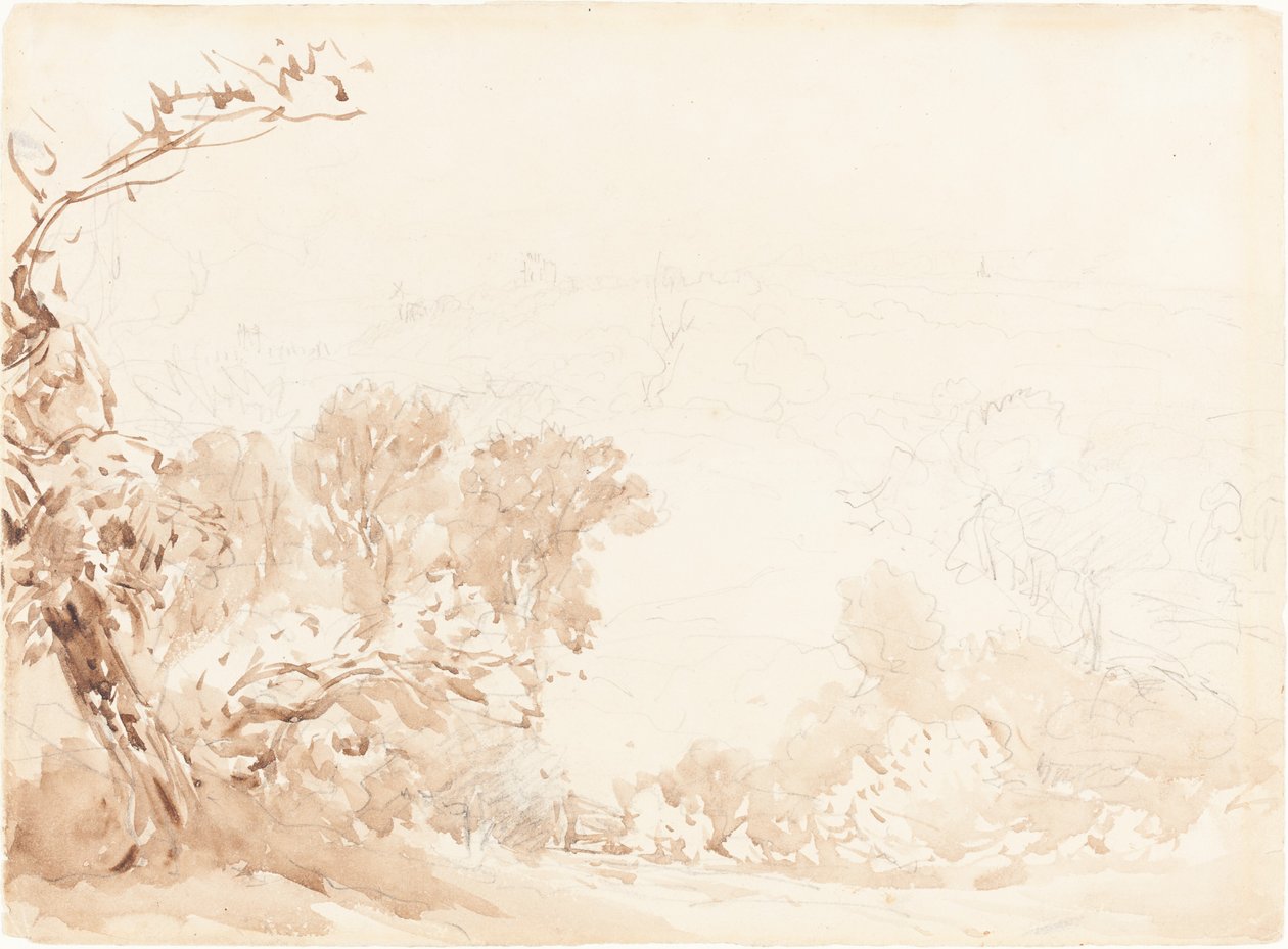 Åsside og trær av David Cox
