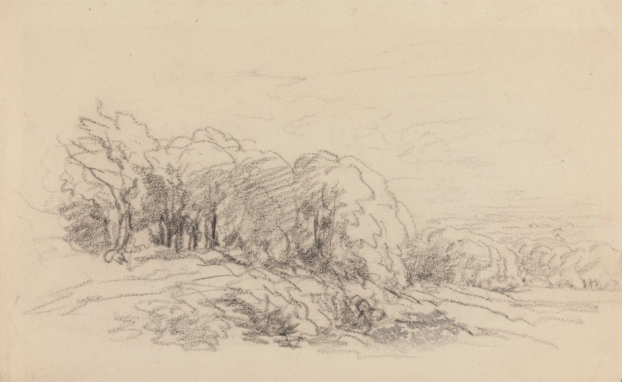 Landskap med trær av David Cox