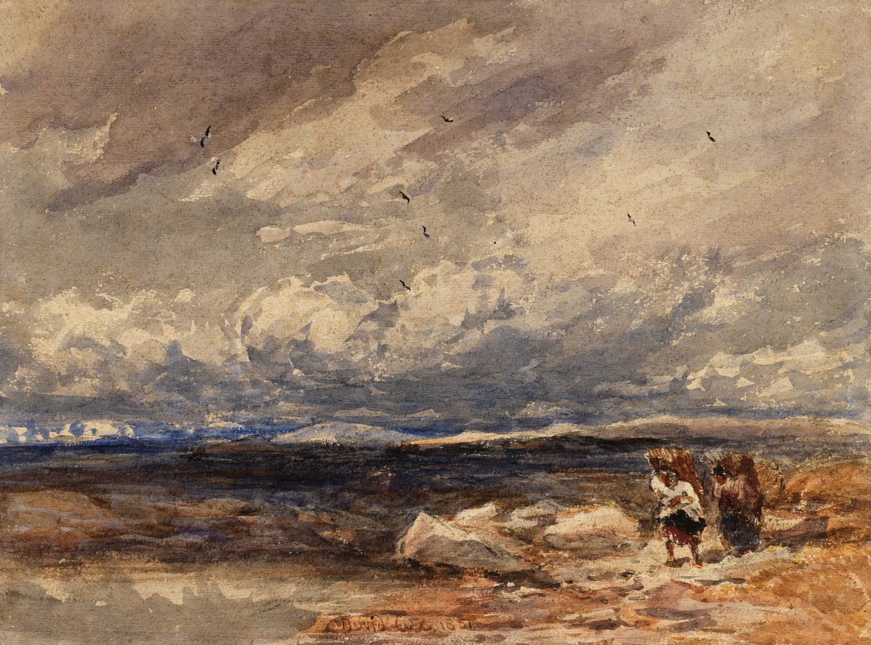  av David Cox