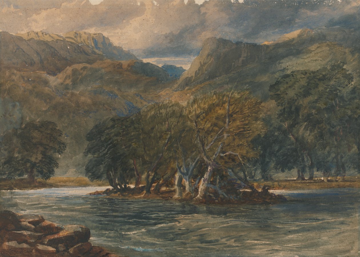  av David Cox