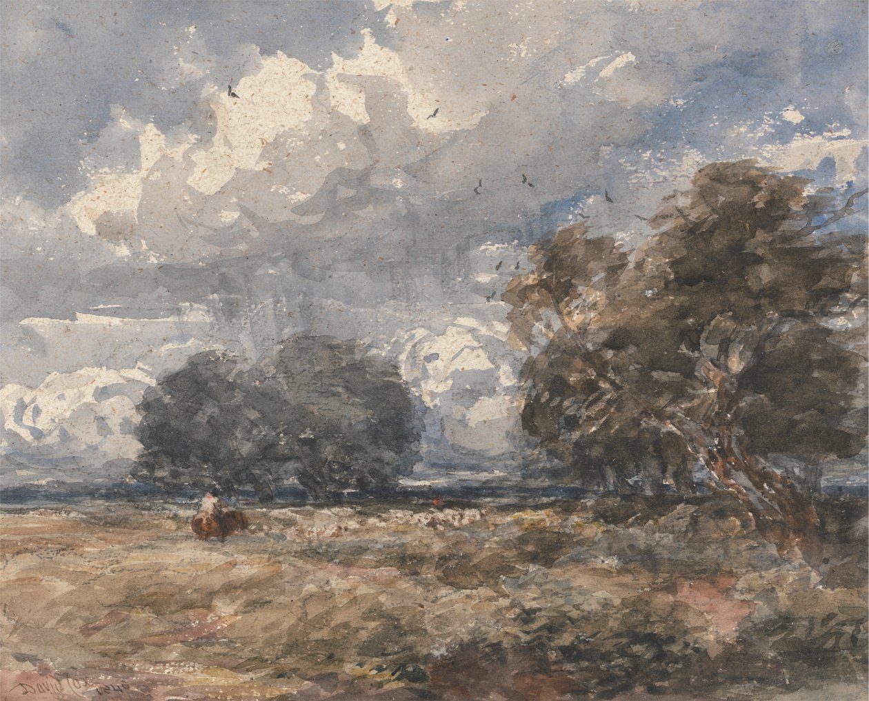 Gjeter flokken, vindfull dag av David Cox