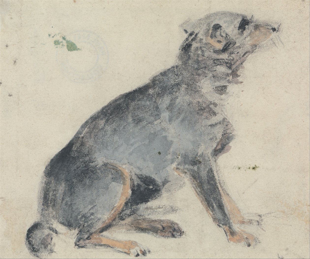  av David Cox