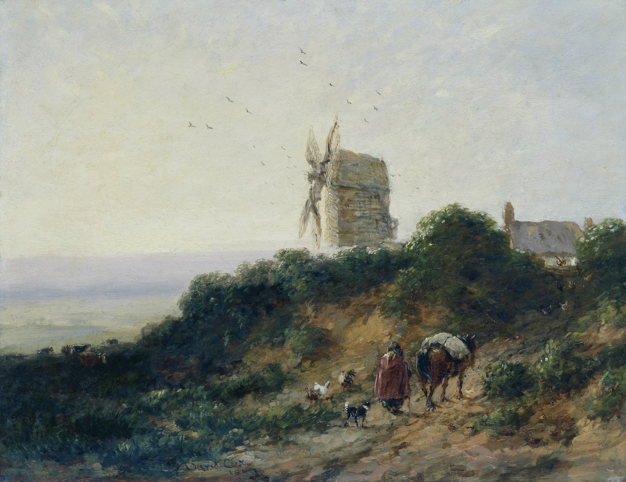  av David Cox