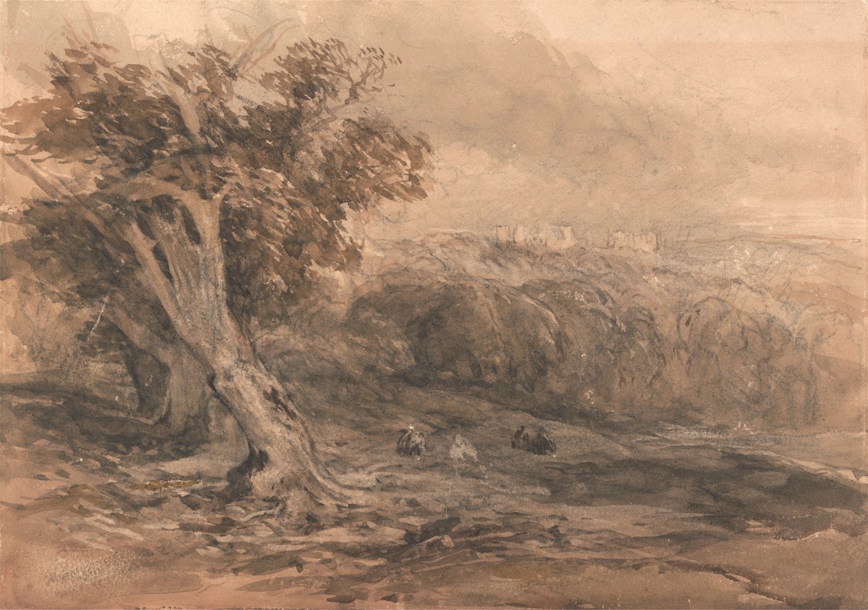  av David Cox