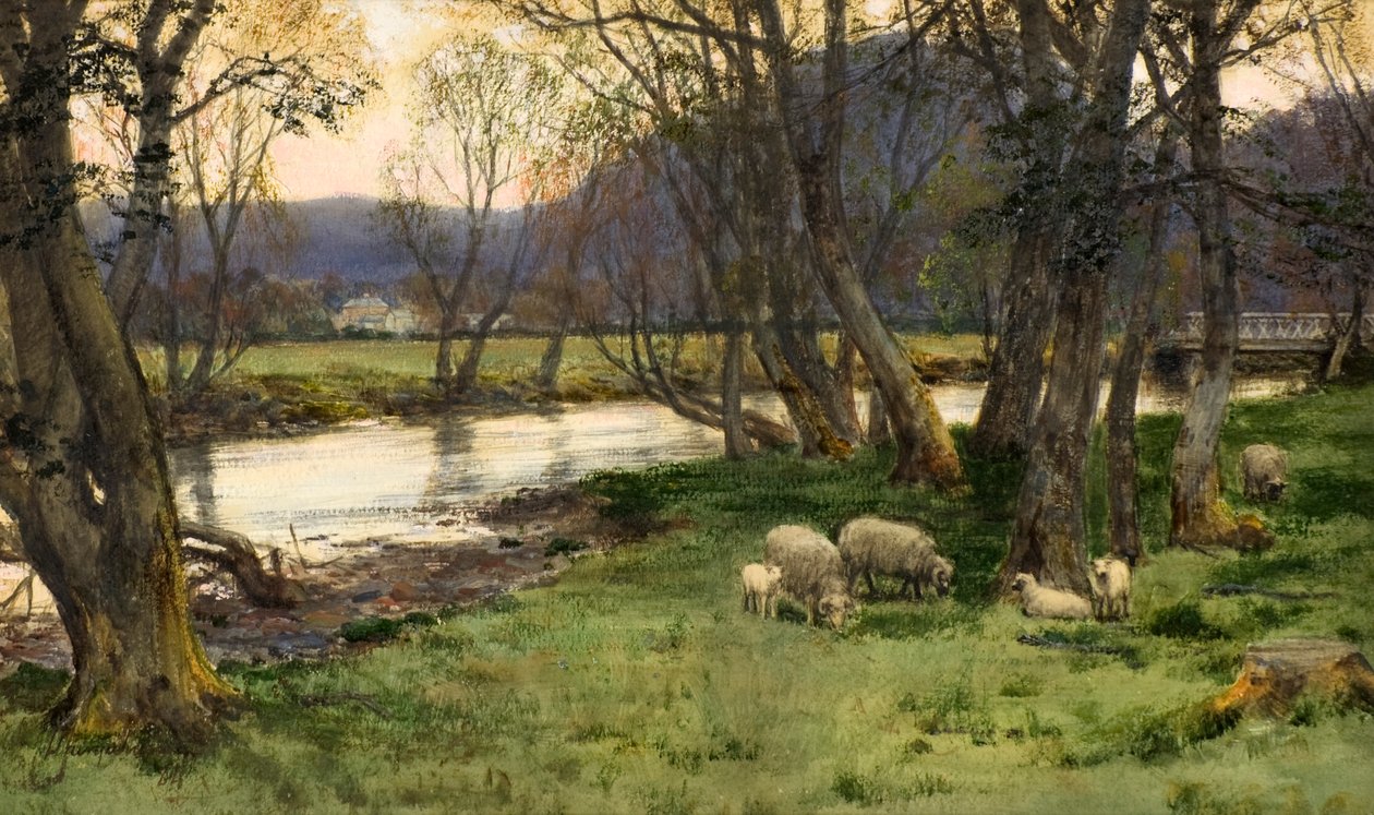 Achray av David Farquharson