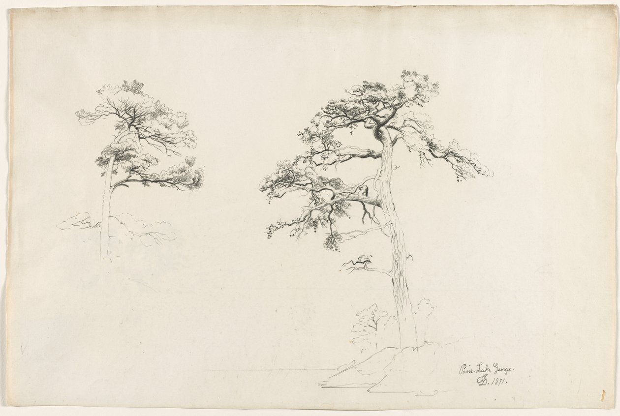 Pine, Lake George, 1871. av David Johnson