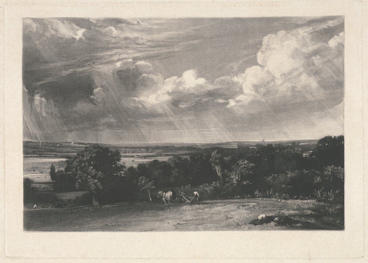 Et sommerland av David Lucas