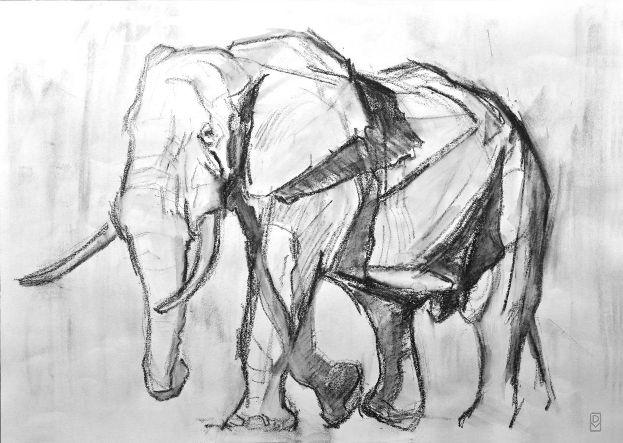 African Bull Elephant, 2019 (kull på papir) av David Mayer