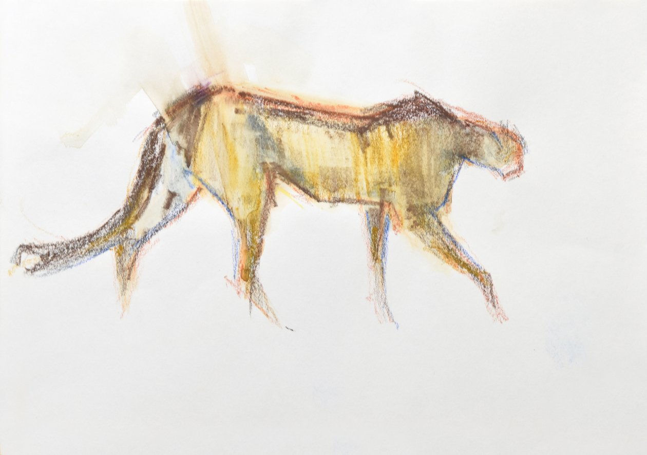 Cheetah, 2020 (fargestift og akvarell på papir) av David Mayer