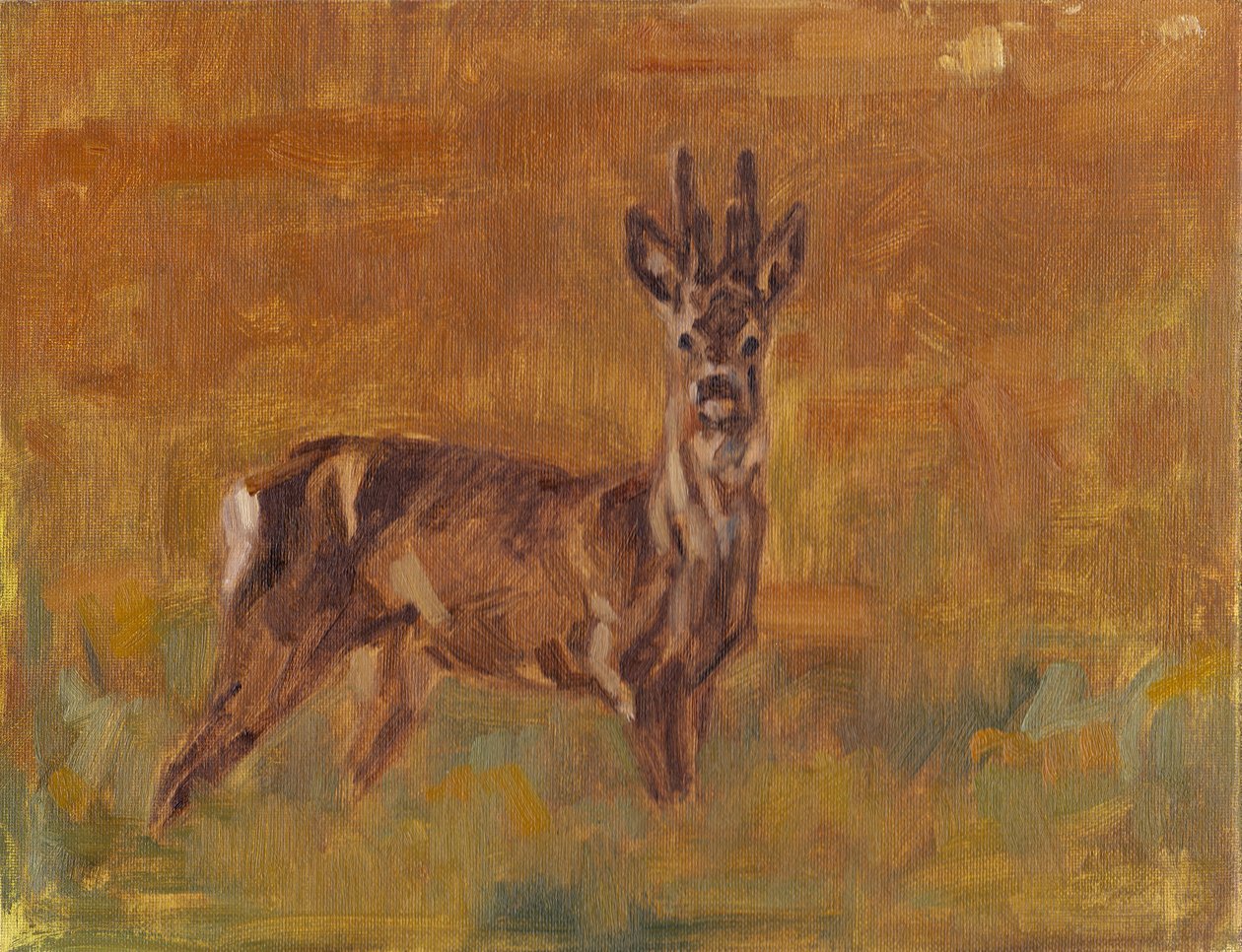 Roe Buck, 2021 av David Mayer