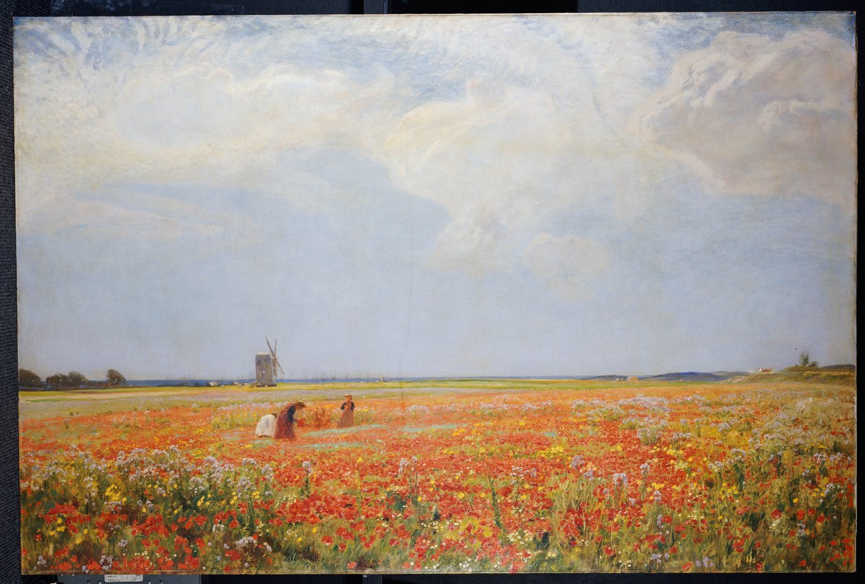Blomsterplukkerne av David Murray