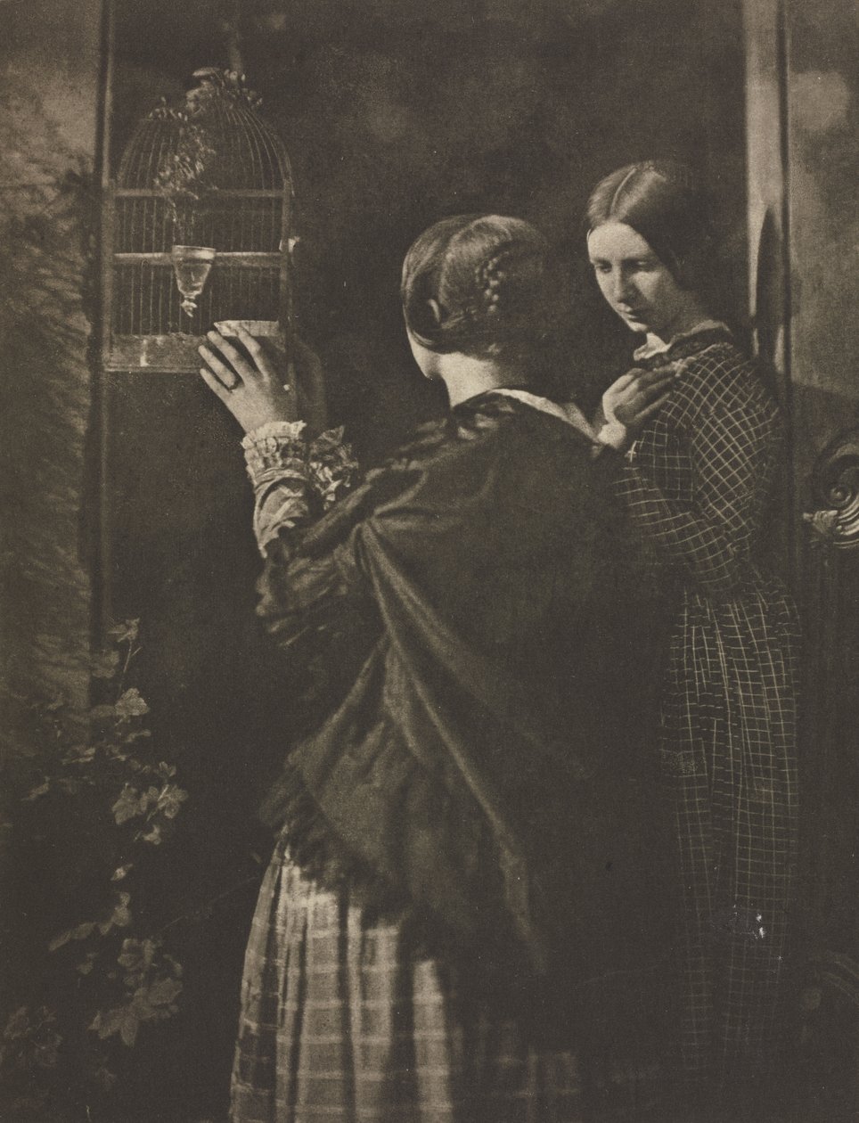 Kameraarbeid: Fugleburet av David Octavius Hill