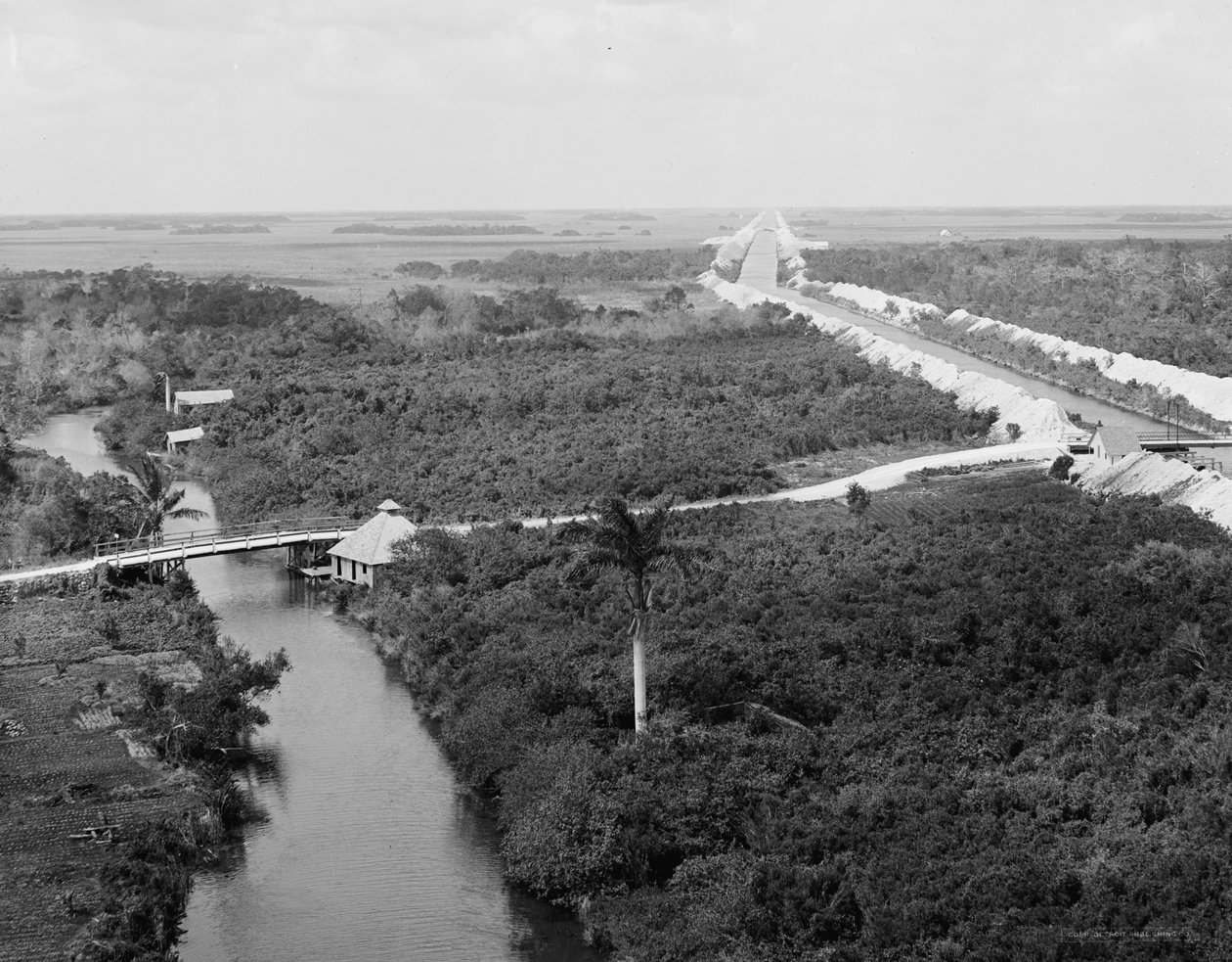 Dreneringskanalen og Everglades, Miami, Florida, ca. 1910-20 av Detroit Publishing Co.