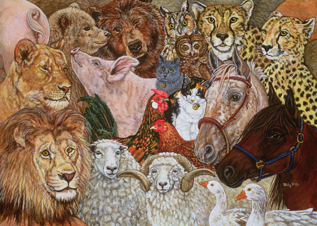 The Ark Spread, 1995 av Ditz