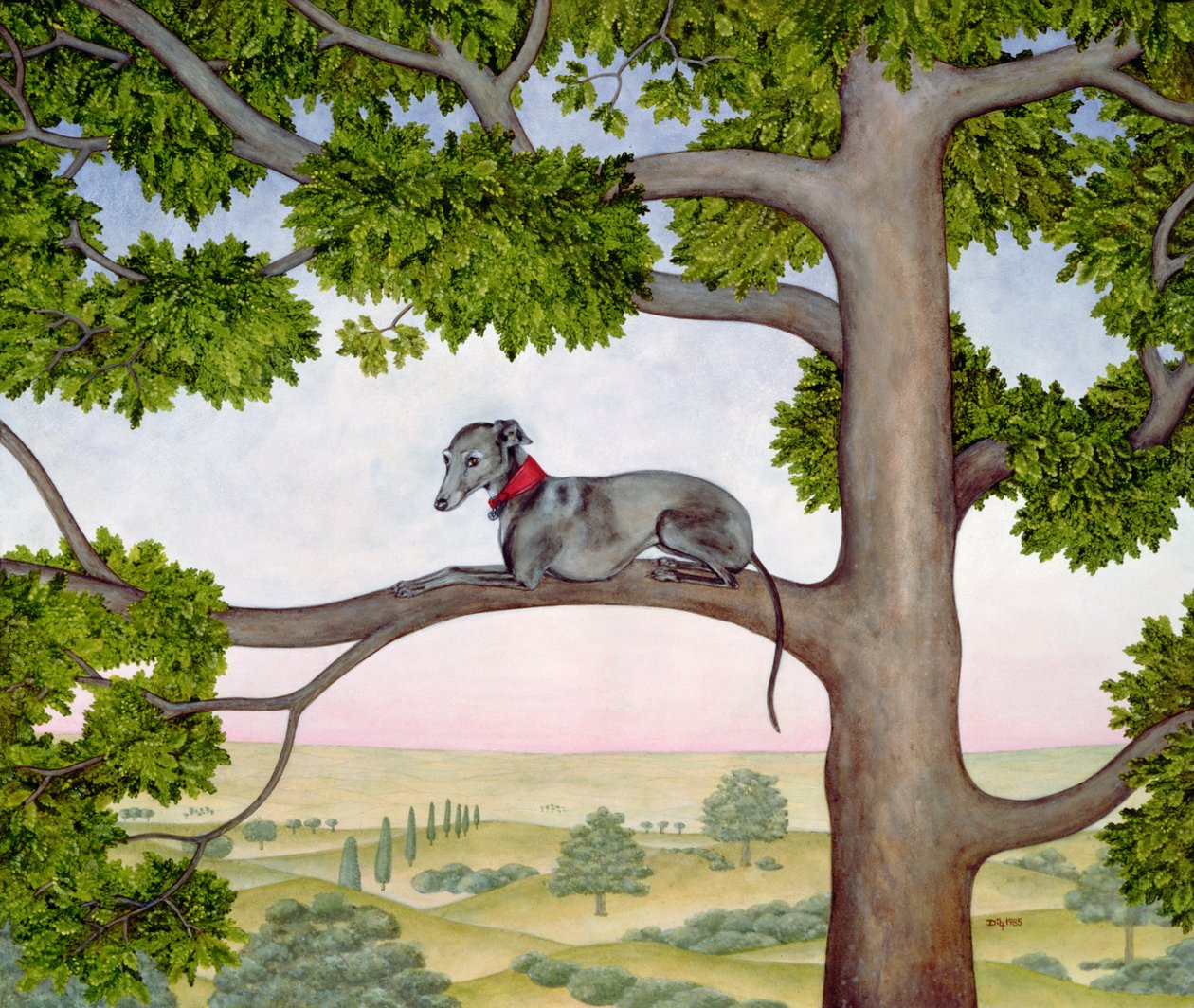 The Tree Whippet av Ditz