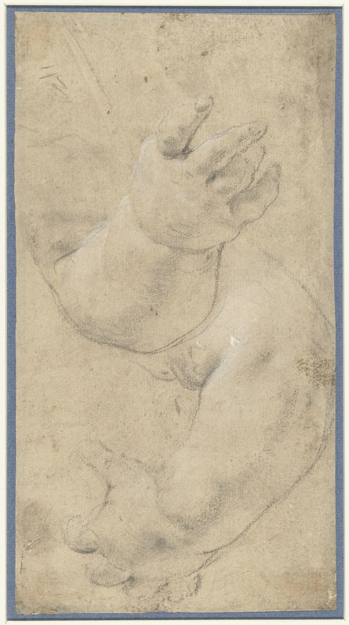 Studie av to barnearmer av Domenichino