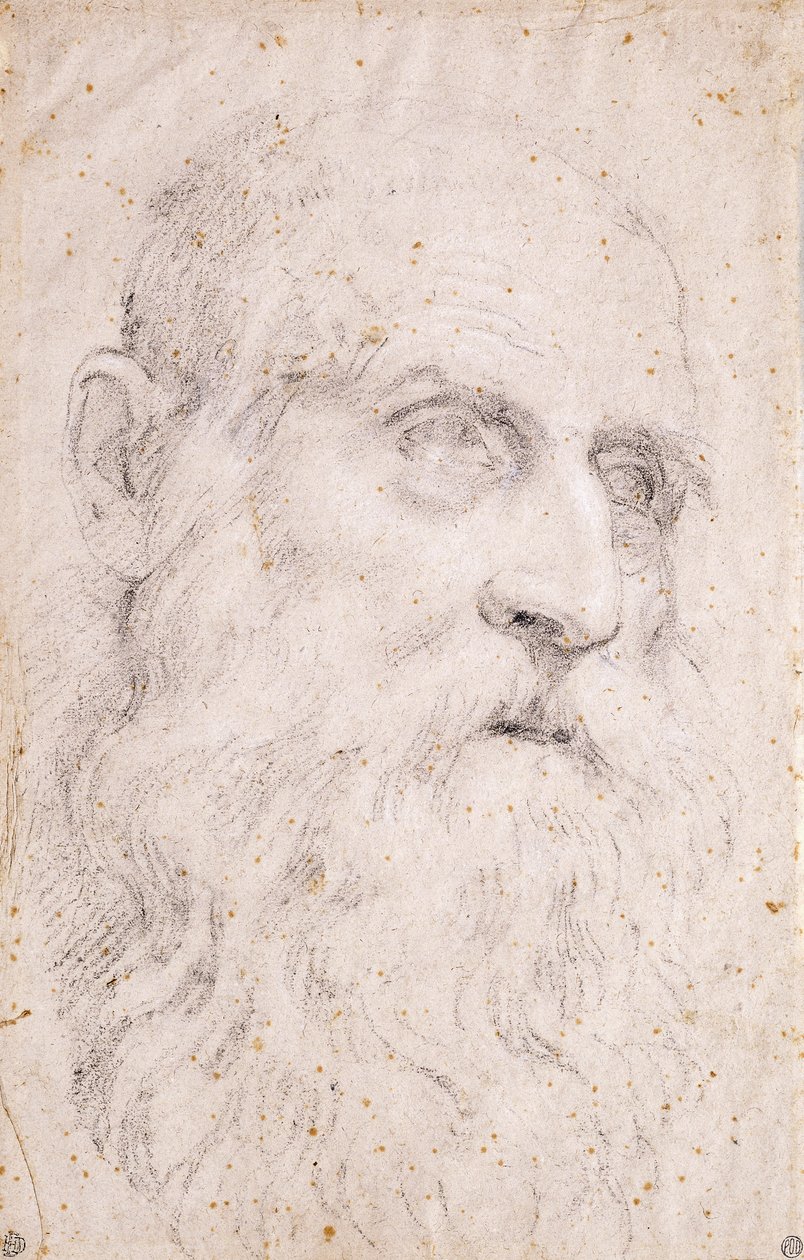 Hodet til Saint Hieronymus av Domenichino