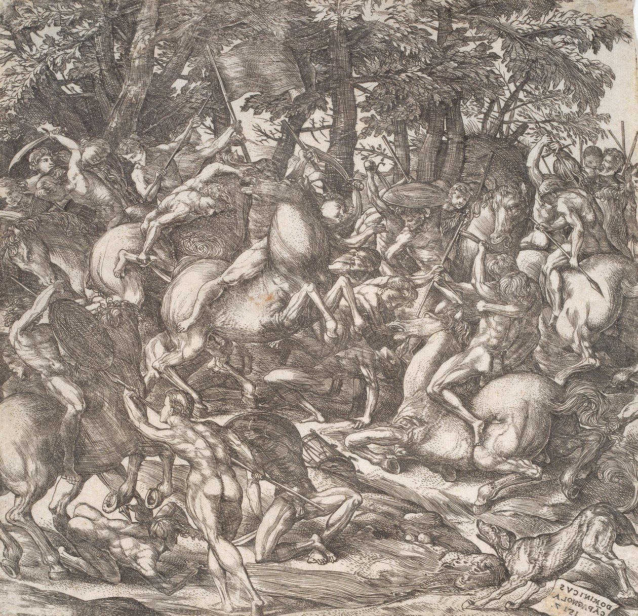Ridekonkurranse av Domenico Campagnola
