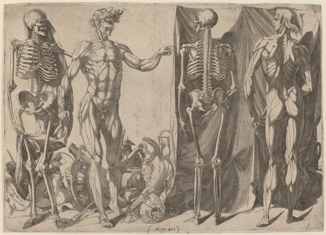 Skjeletter og skinn av Domenico del Barbiere