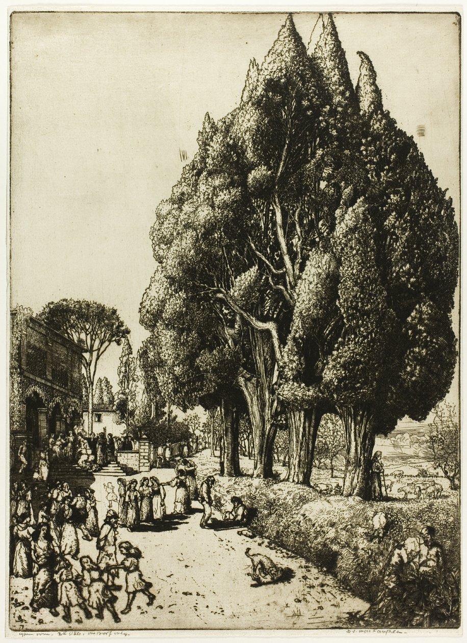 Cypress Grove av Donald Shaw MacLaughlan