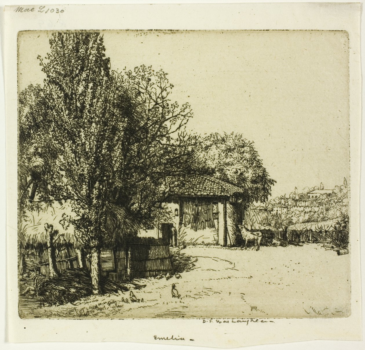 Emelia, Italia av Donald Shaw MacLaughlan