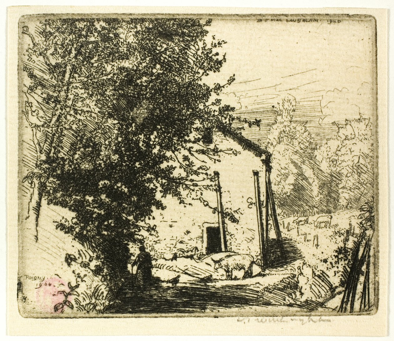 Lille Poigny av Donald Shaw MacLaughlan