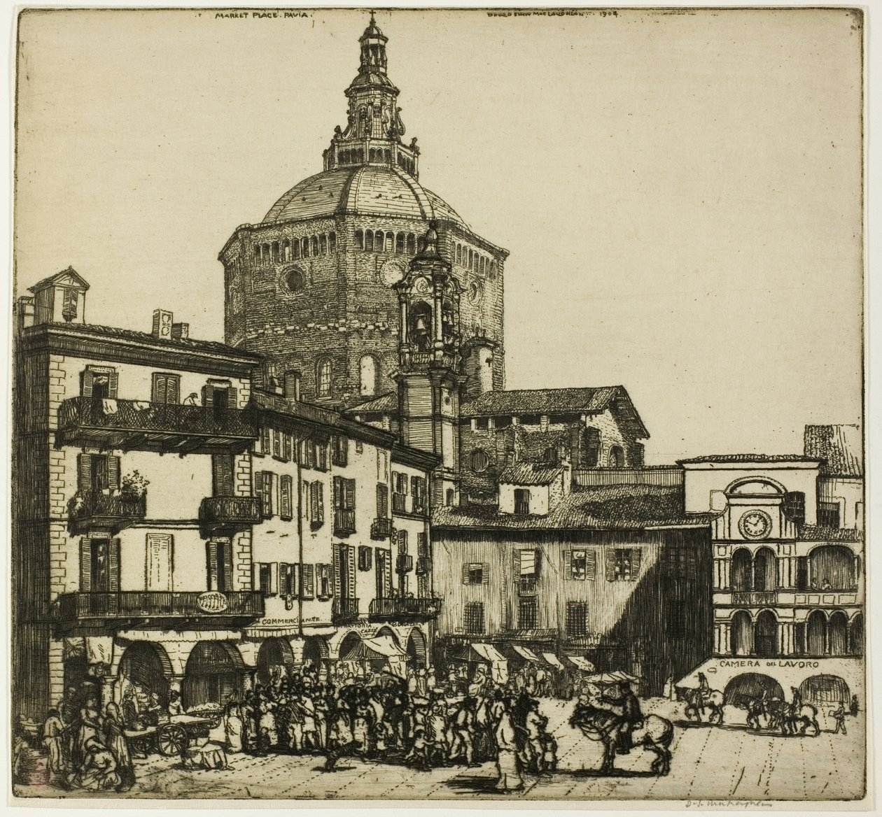 Pavia av Donald Shaw MacLaughlan