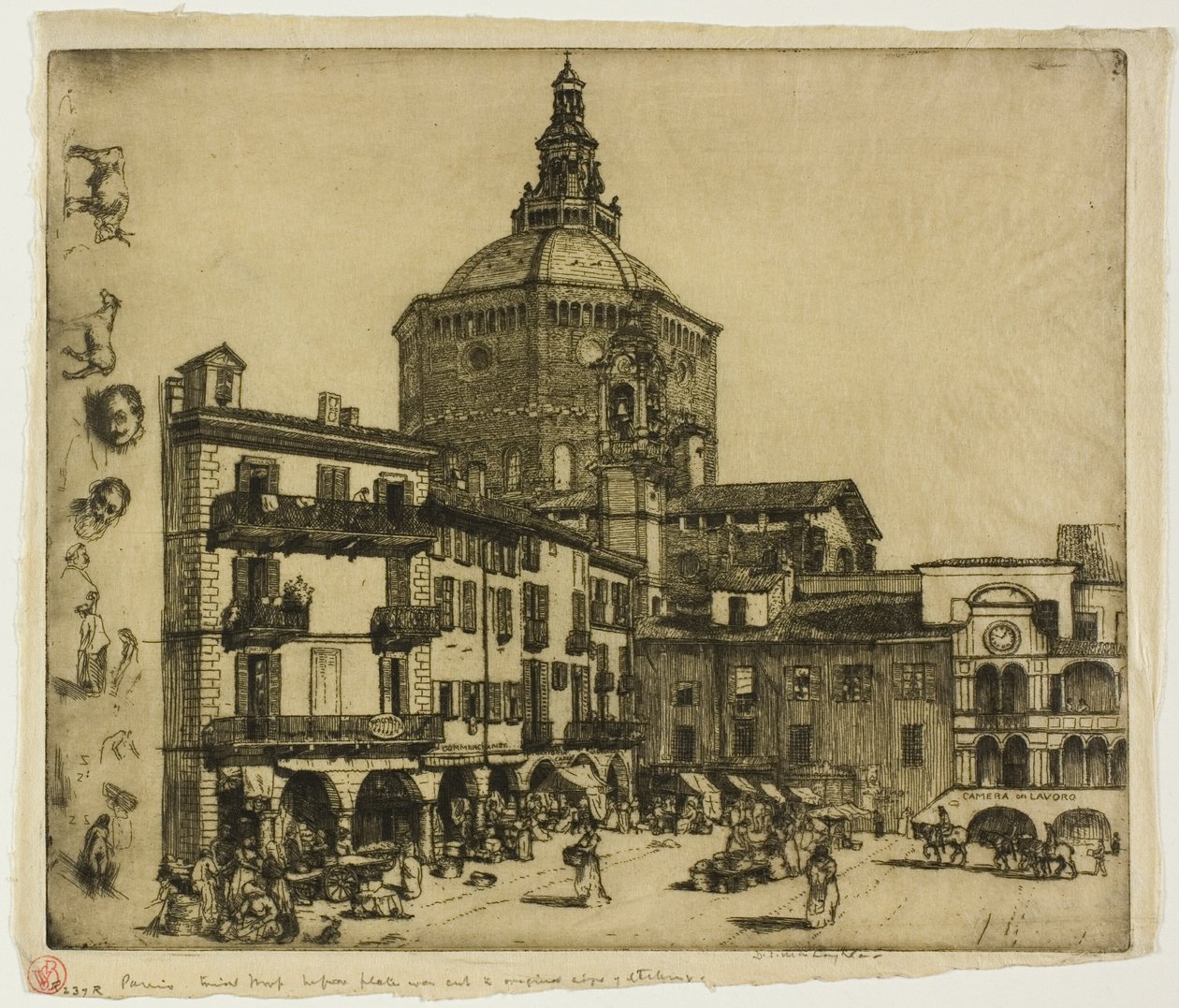 Pavia av Donald Shaw MacLaughlan