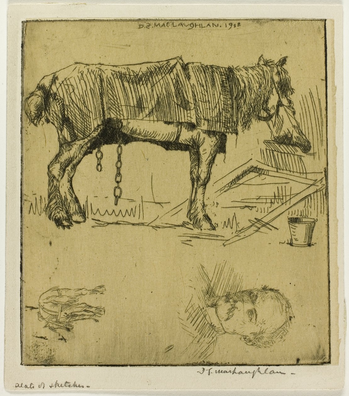 Plate med skisser av Donald Shaw MacLaughlan