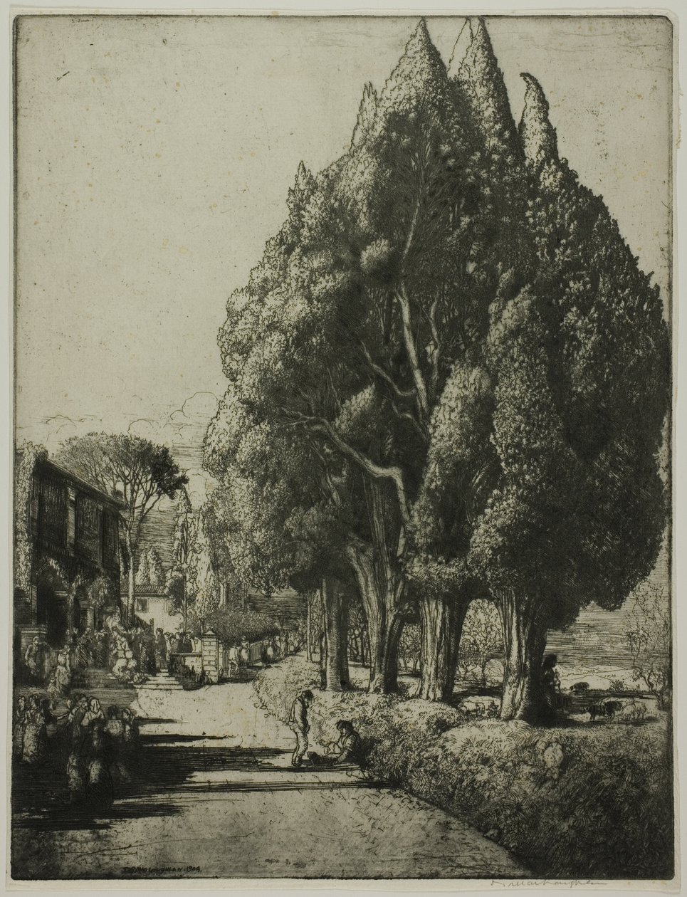 Cypress Grove av Donald Shaw MacLaughlan
